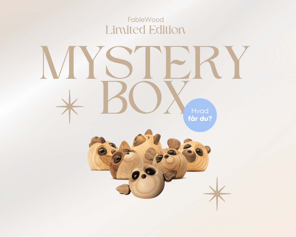 Limited Edition Mystery Box