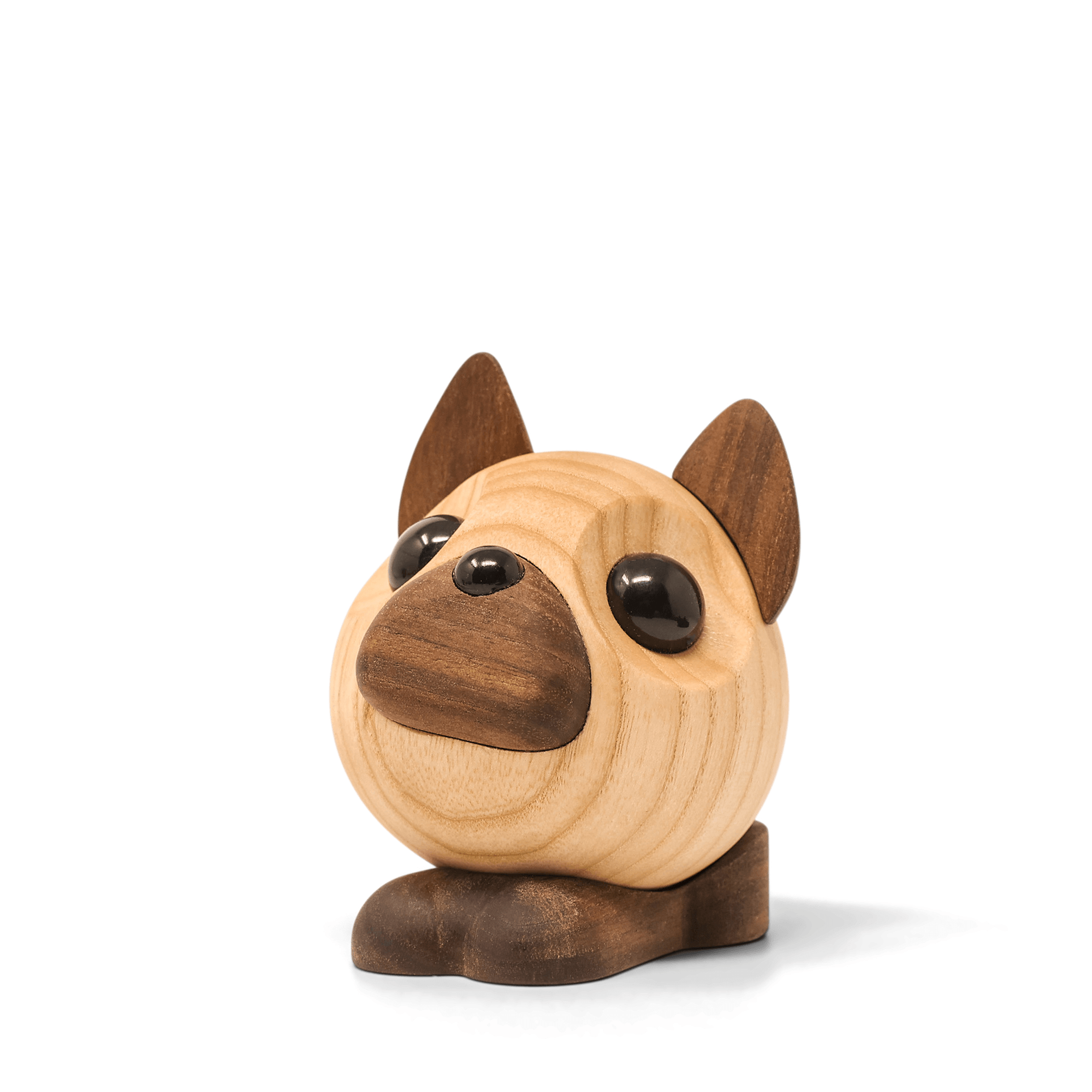 Benny - French Bulldog