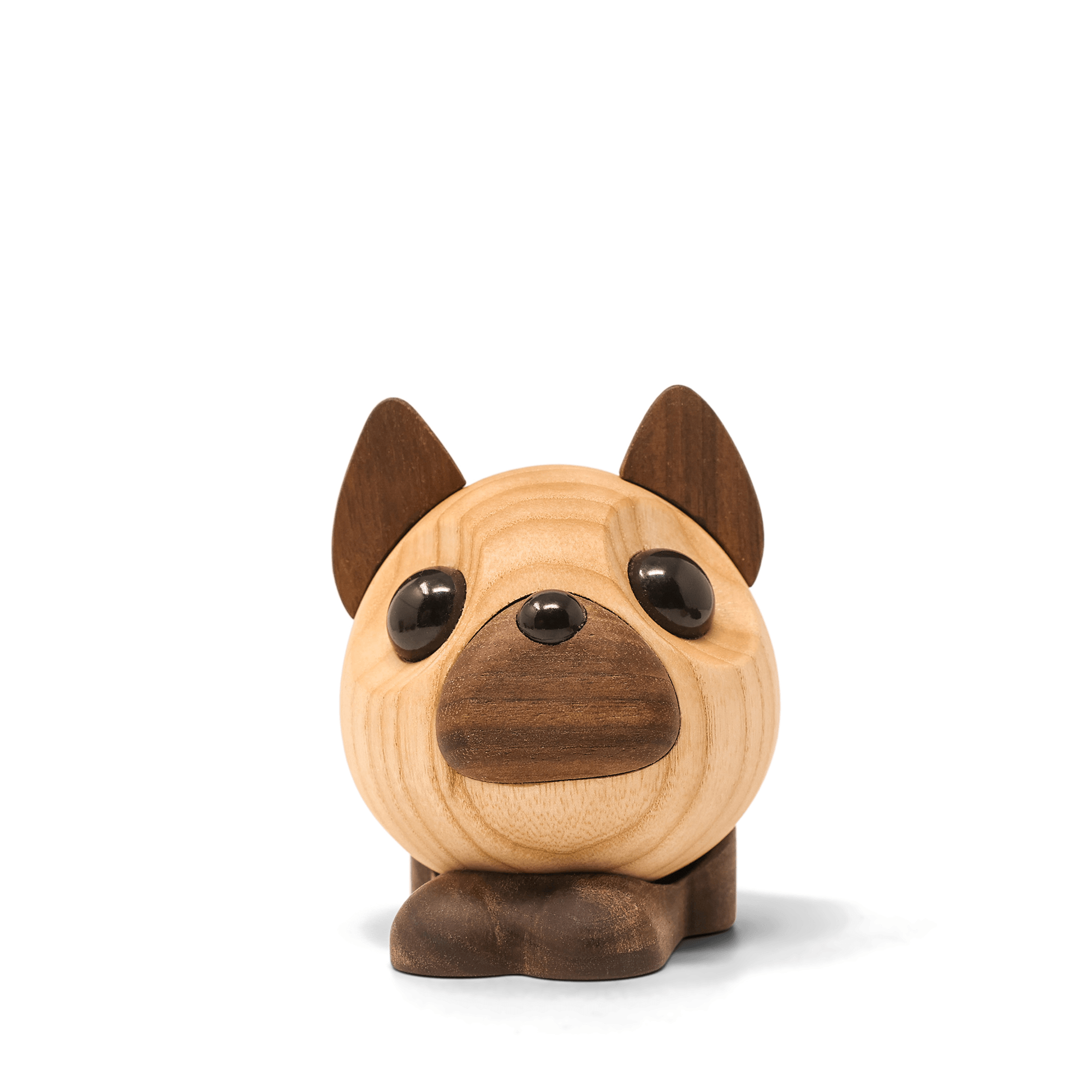 Benny - French Bulldog