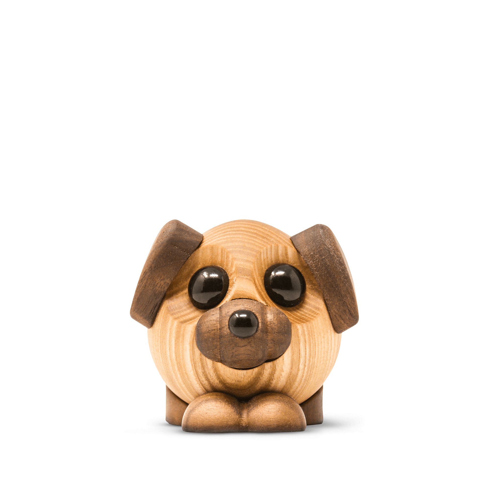 Buddy - the big dog