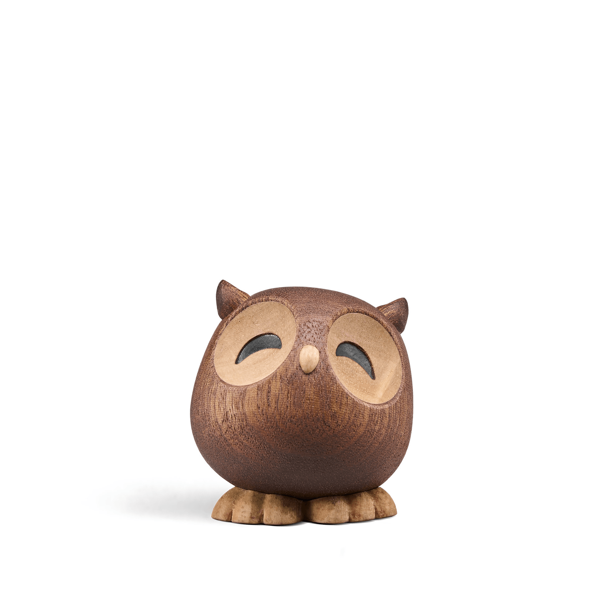 Sofia - the little Owl