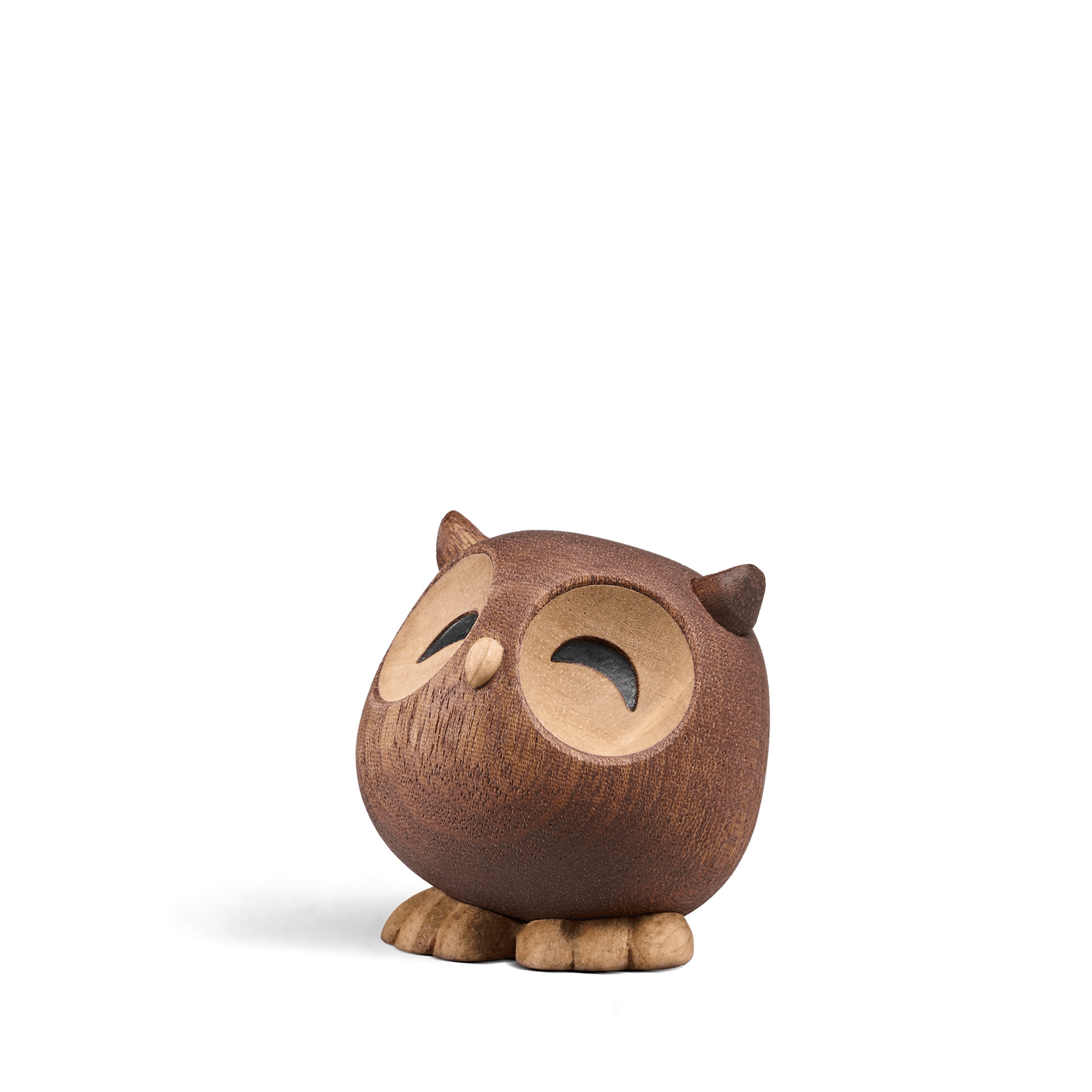 Sofia - the little Owl