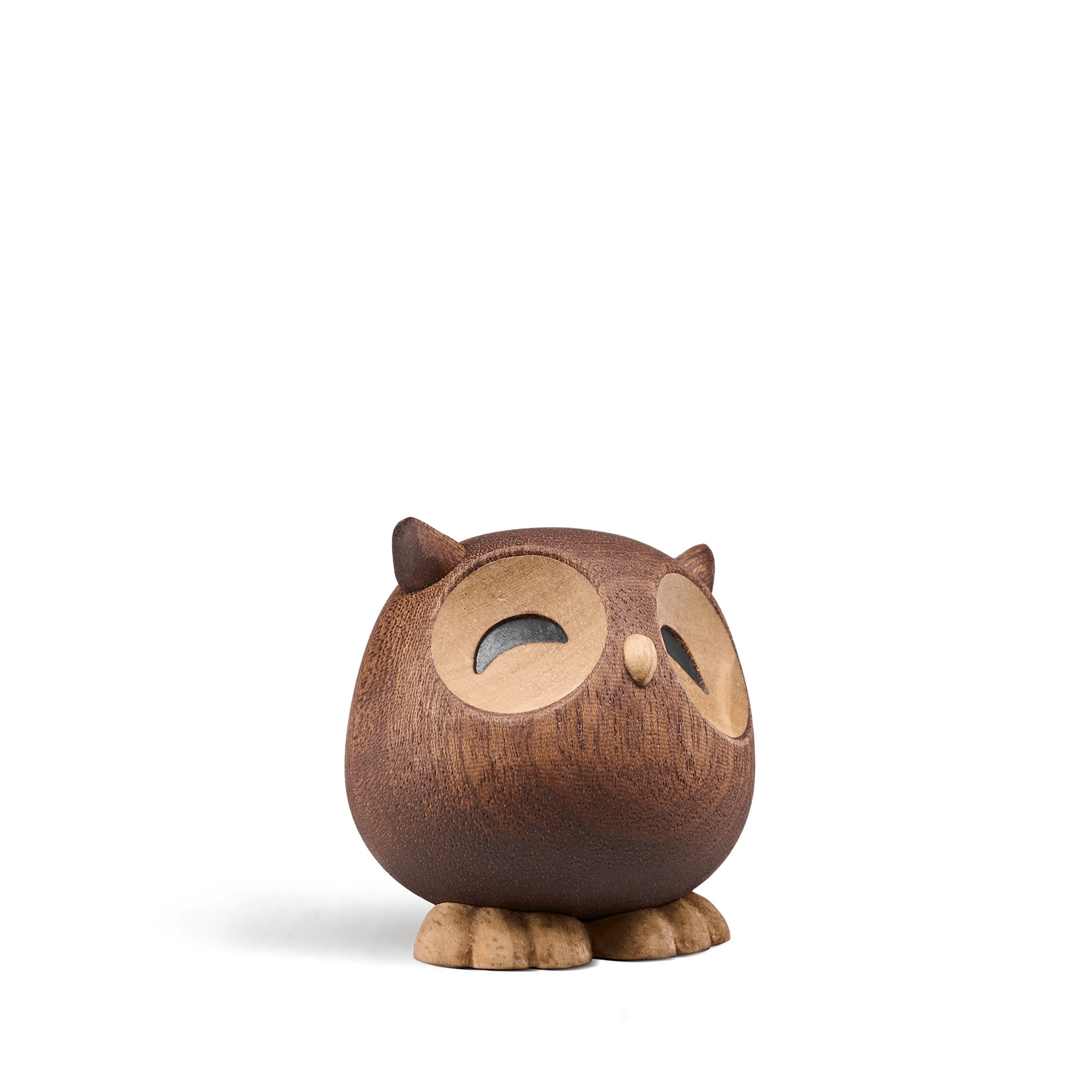 Sofia - the little Owl