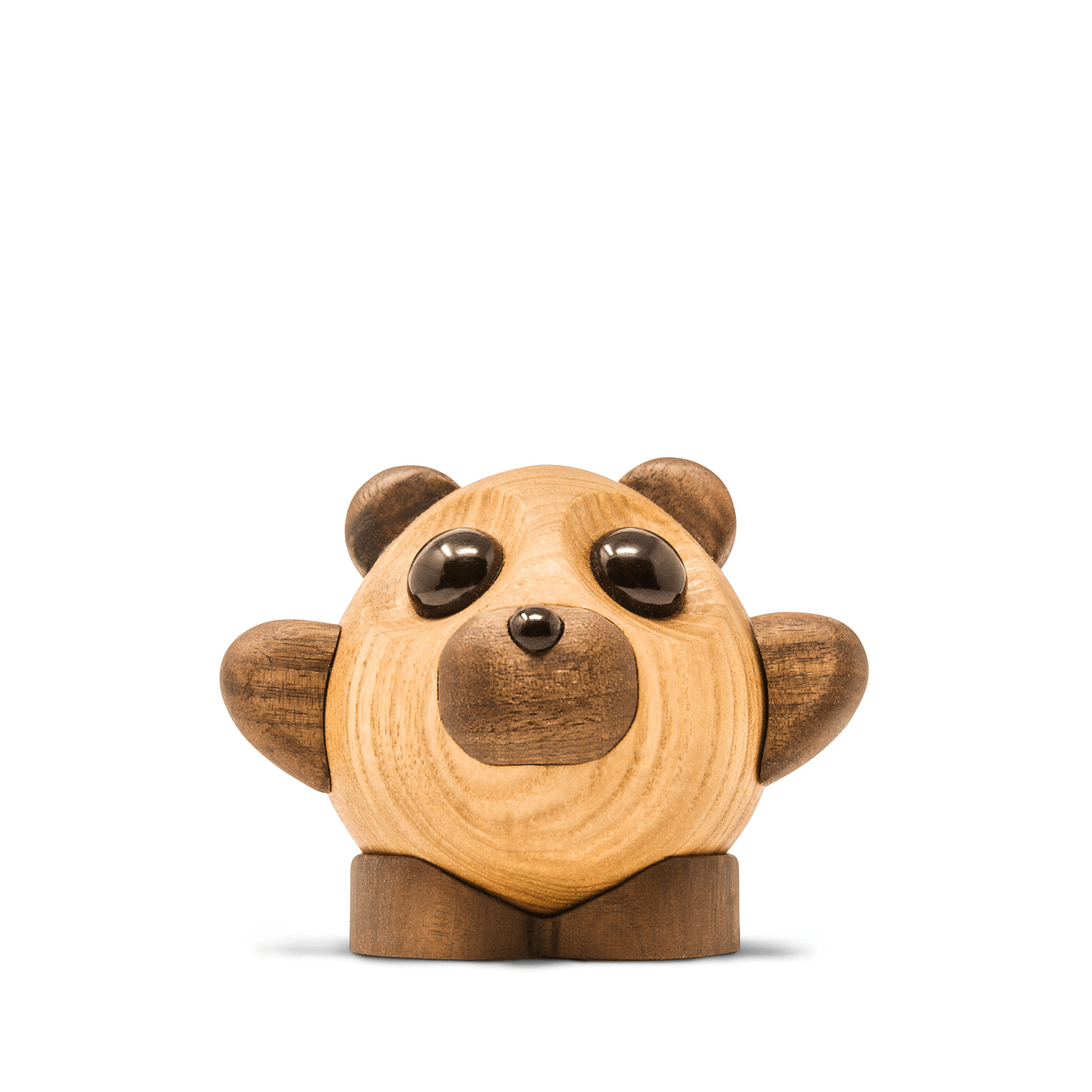 Teddy - the bear